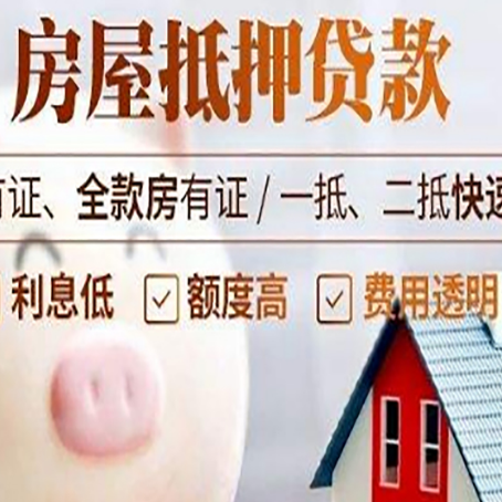 苏尼特右贷款助贷公司新渝启服成立时间久